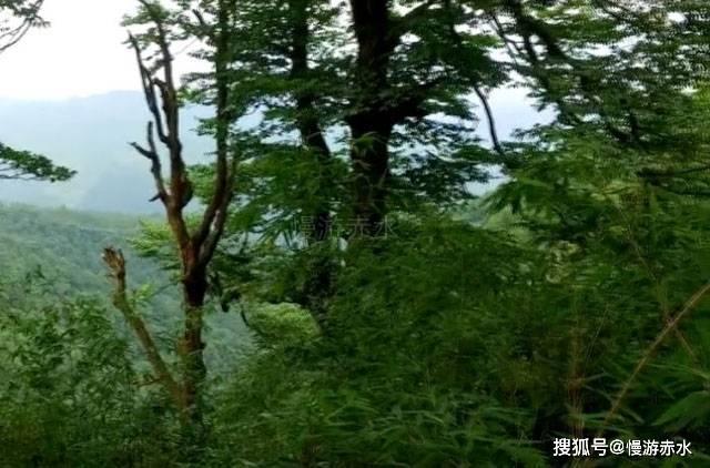 僵尸女友送月饼啦